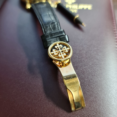 Швейцарские часы Patek Philippe GRAND COMPLICATIONS 5059