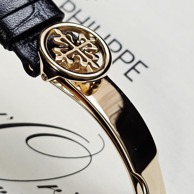 Швейцарские часы Patek Philippe Complicated