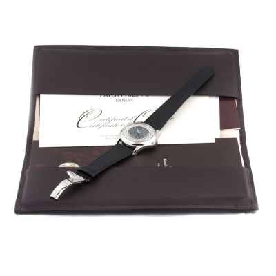 Швейцарские часы Patek Philippe  
World Time Platinum